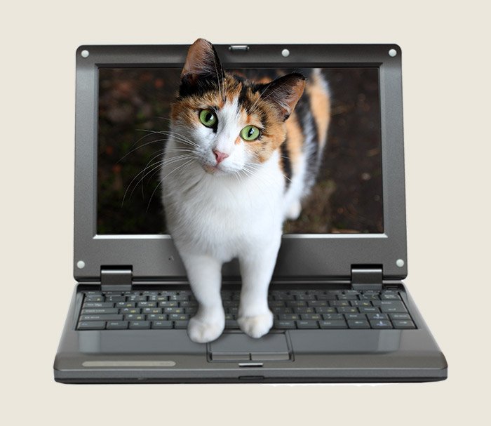 Contact Us Hero Image